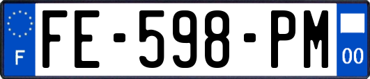 FE-598-PM