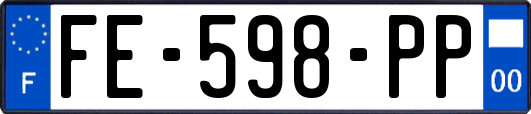 FE-598-PP
