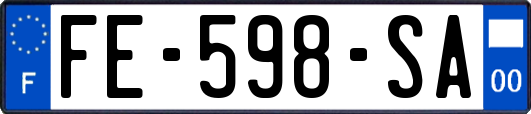 FE-598-SA