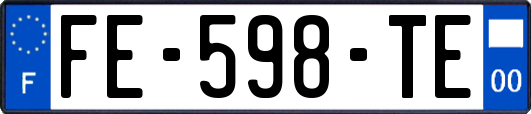 FE-598-TE