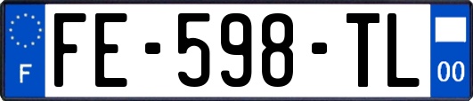 FE-598-TL