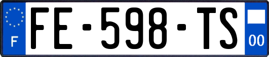 FE-598-TS