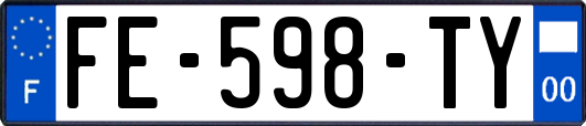 FE-598-TY