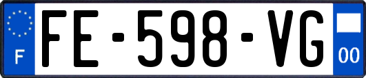 FE-598-VG