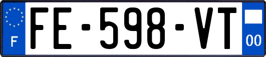FE-598-VT