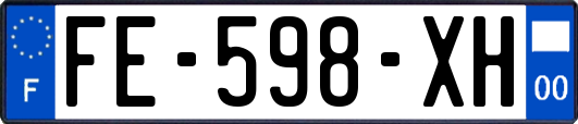 FE-598-XH