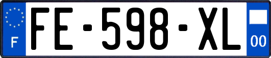 FE-598-XL