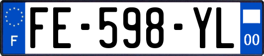 FE-598-YL