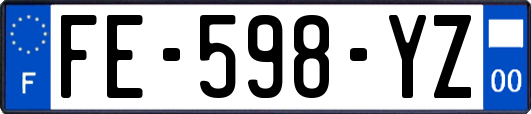 FE-598-YZ