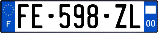 FE-598-ZL