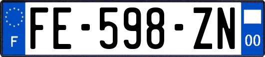 FE-598-ZN