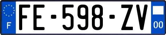 FE-598-ZV
