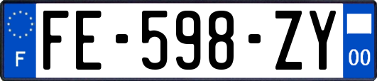 FE-598-ZY