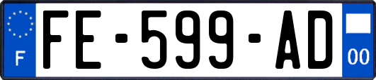 FE-599-AD