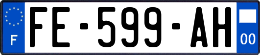 FE-599-AH