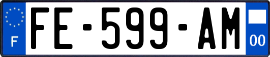 FE-599-AM