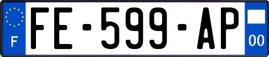 FE-599-AP