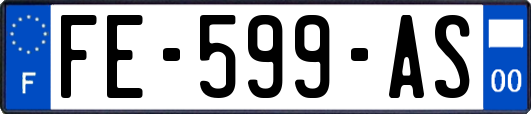 FE-599-AS