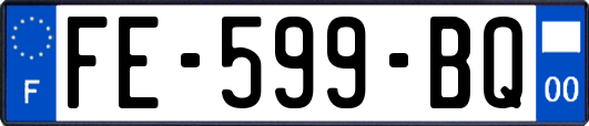 FE-599-BQ