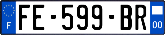 FE-599-BR