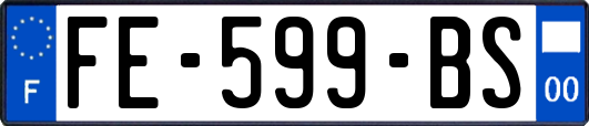 FE-599-BS