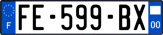 FE-599-BX