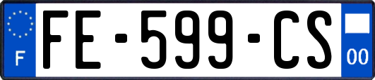 FE-599-CS