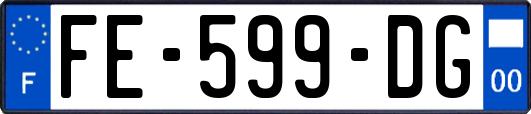 FE-599-DG