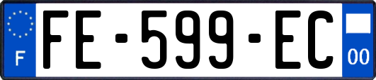 FE-599-EC