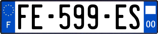 FE-599-ES