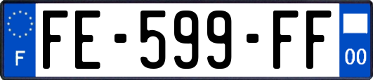 FE-599-FF