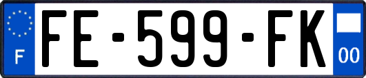 FE-599-FK