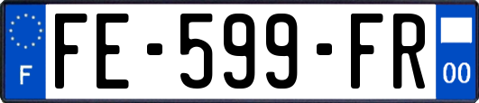 FE-599-FR