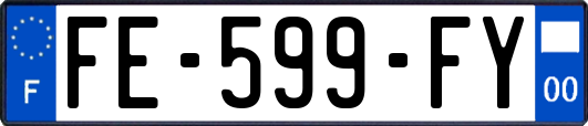 FE-599-FY