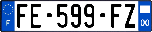 FE-599-FZ