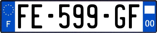 FE-599-GF
