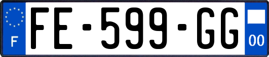 FE-599-GG