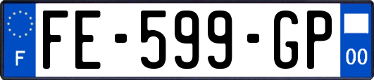 FE-599-GP