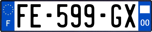 FE-599-GX