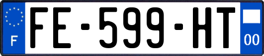 FE-599-HT