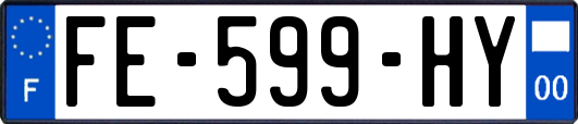 FE-599-HY