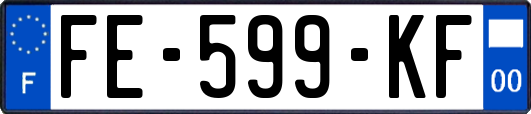 FE-599-KF