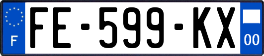 FE-599-KX