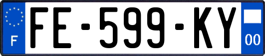 FE-599-KY