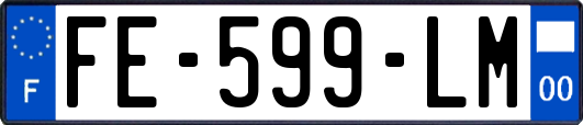 FE-599-LM