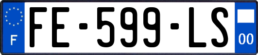 FE-599-LS