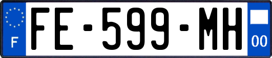 FE-599-MH