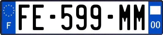 FE-599-MM