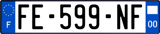 FE-599-NF