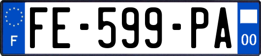 FE-599-PA
